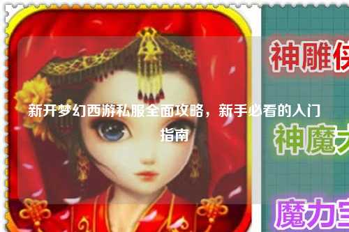 新开梦幻西游私服全面攻略，新手必看的入门指南