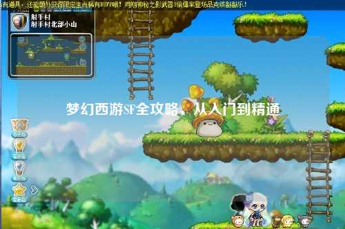 梦幻西游SF全攻略，从入门到精通