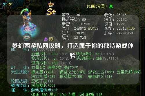 梦幻西游私网攻略，打造属于你的独特游戏体验