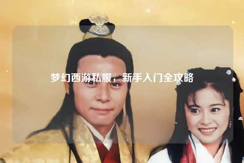 梦幻西游私服，新手入门全攻略